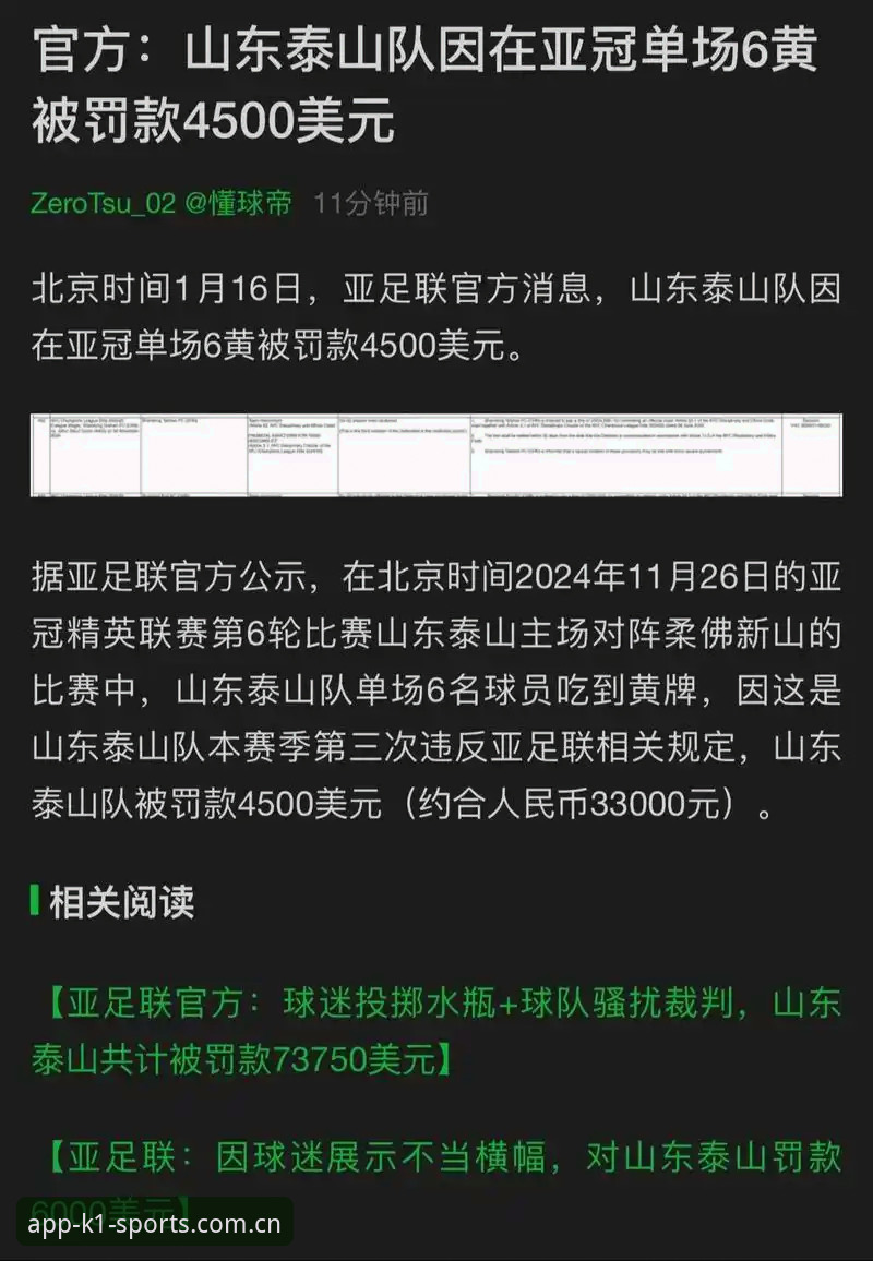 揭秘：足协第三批禁足名单背后，中国足球反腐风暴下的k1体育赛事生态真相